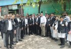 जिला अधिवक्ता संघ चुनाव अंतिम दिन प्रत्याशियों ने झोंकी ताकत, शनिवार को होगा मतदान