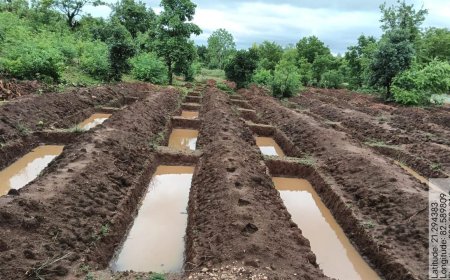 551 ग्राम पंचायतों में जल संरक्षण संरचनाओं का निर्माण, पहली बारिश में 31 करोड़ लीटर जल भंडारण की क्षमता विकसित