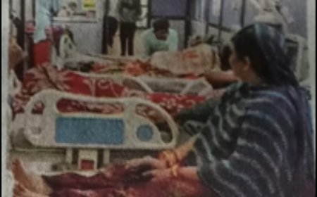 छत्तीसगढ़ में ज़हरीली जंगली मशरूम खाने से फूड पॉइज़निंग;