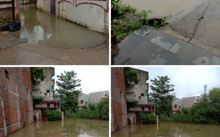 दो दिन की मूसलाधार बारिश से बिलासपुर बेहाल, बसंती विहार कॉलोनी में घरों में घुसा पानी, लोग परेशान