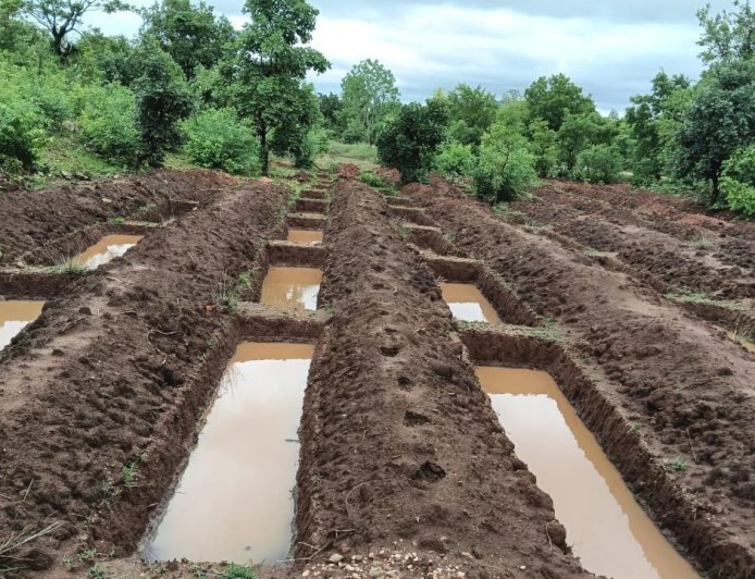551 ग्राम पंचायतों में जल संरक्षण संरचनाओं का निर्माण, पहली बारिश में 31 करोड़ लीटर जल भंडारण की क्षमता विकसित