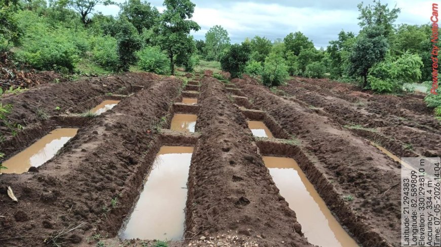 551 ग्राम पंचायतों में जल संरक्षण संरचनाओं का निर्माण, पहली बारिश में 31 करोड़ लीटर जल भंडारण की क्षमता विकसित