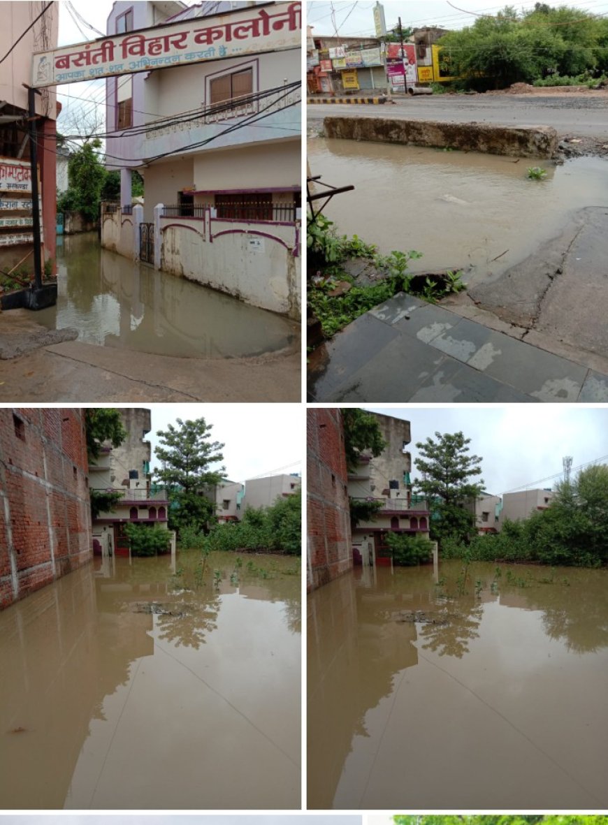 दो दिन की मूसलाधार बारिश से बिलासपुर बेहाल, बसंती विहार कॉलोनी में घरों में घुसा पानी, लोग परेशान