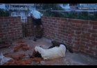 दो मौतों का जिम्मेदार निगम और बिजली विभाग भी: नोटिस देकर अवैध निर्माण देखते रहे, पर रोका नहीं