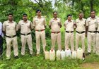 गरियाबंद में आबकारी विभाग की सख्त कार्रवाई, जंगल में छिपाकर रखी 100 लीटर अवैध शराब पकड़ी