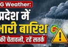 मानसून का रौद्र रूप: छत्तीसगढ़ के 28 जिलों में भारी बारिश का साया, रायपुर समेत कई इलाकों में पारा गिरा