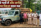 छत्तीसगढ़: मंत्री केदार कश्यप के निर्देश के बाद अलर्ट मोड पर वन विभाग, सागौन तस्करों पर कसा शिकंजा