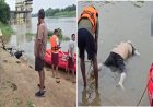 बेंद्री डैम में मिला तैरता शव, इलाके में दहशत; हत्या या दुर्घटना?