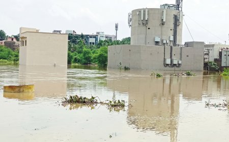 बिलासपुर में प्रशासनिक लापरवाही: 22 मीटर का नाला सिमटकर बचा 7 मीटर, 10 हजार परिवारों पर बाढ़ का खतरा