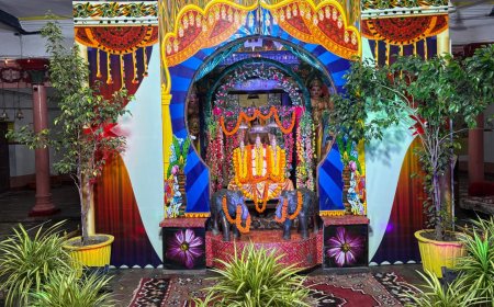 वेंकटेश मंदिर में 18 दिवसीय झूला महोत्सव शुरू, झूले पर विराजे भगवान