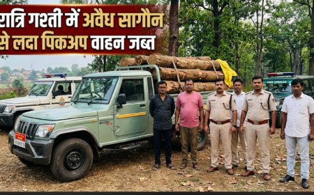 छत्तीसगढ़: मंत्री केदार कश्यप के निर्देश के बाद अलर्ट मोड पर वन विभाग, सागौन तस्करों पर कसा शिकंजा