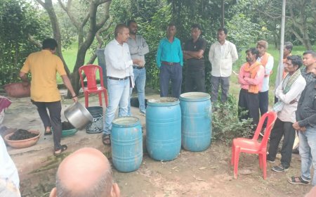 **छत्तीसगढ़ में जैविक क्रांति: GPM के 160 गांवों में बने 'जीवामृत मॉडल फार्म', धान की फसल में दिख रहा चमत्कारिक असर**