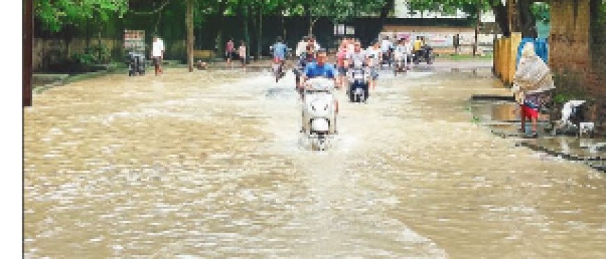 18 करोड़ के बड़े नाले भी पड़े छोटे: रात भर की बारिश में बिलासपुर जलमग्न
