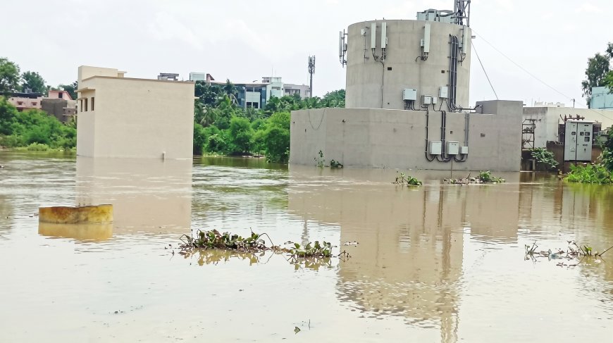 बिलासपुर में प्रशासनिक लापरवाही: 22 मीटर का नाला सिमटकर बचा 7 मीटर, 10 हजार परिवारों पर बाढ़ का खतरा