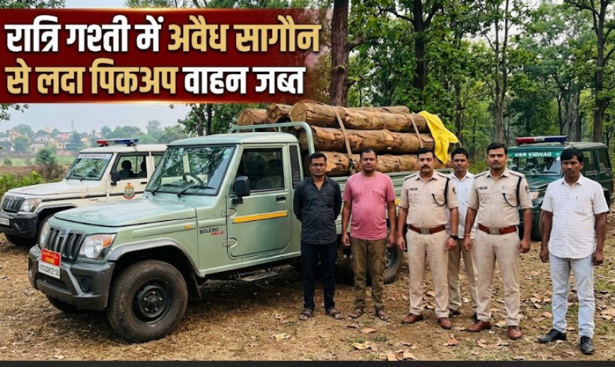 छत्तीसगढ़: मंत्री केदार कश्यप के निर्देश के बाद अलर्ट मोड पर वन विभाग, सागौन तस्करों पर कसा शिकंजा