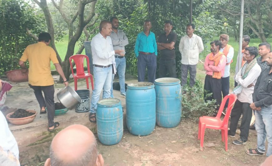 **छत्तीसगढ़ में जैविक क्रांति: GPM के 160 गांवों में बने 'जीवामृत मॉडल फार्म', धान की फसल में दिख रहा चमत्कारिक असर**