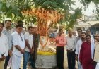 राजकुमार यादव का अनोखा संकल्प- पेड़ों की रक्षा करेंगे,पेड़ हमारी रक्षा करेंगे