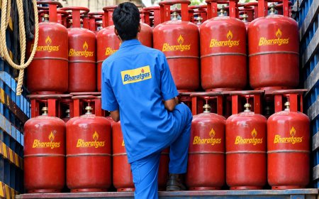 LPG सिलेंडर पर राहत: गोवा और तमिलनाडु में साल में 3 मुफ्त गैस सिलेंडर देने का ऐलान