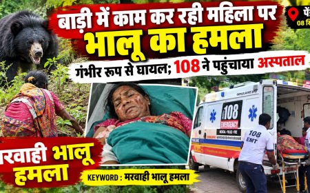 बाड़ी में काम कर रही महिला पर भालू का हमला, गंभीर रूप से घायल; 108 ने पहुंचाया अस्पताल