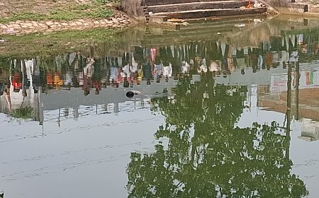 मंगला वार्ड 13 के पटवारी तालाब में मिली लाश,फैली सनसनी