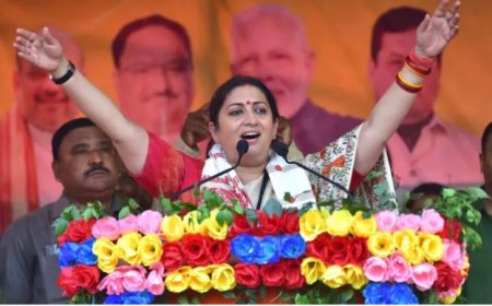 छत्तीसगढ़ BJP में बड़ा संगठनात्मक फेरबदल! स्मृति ईरानी बनीं प्रदेश प्रभारी,