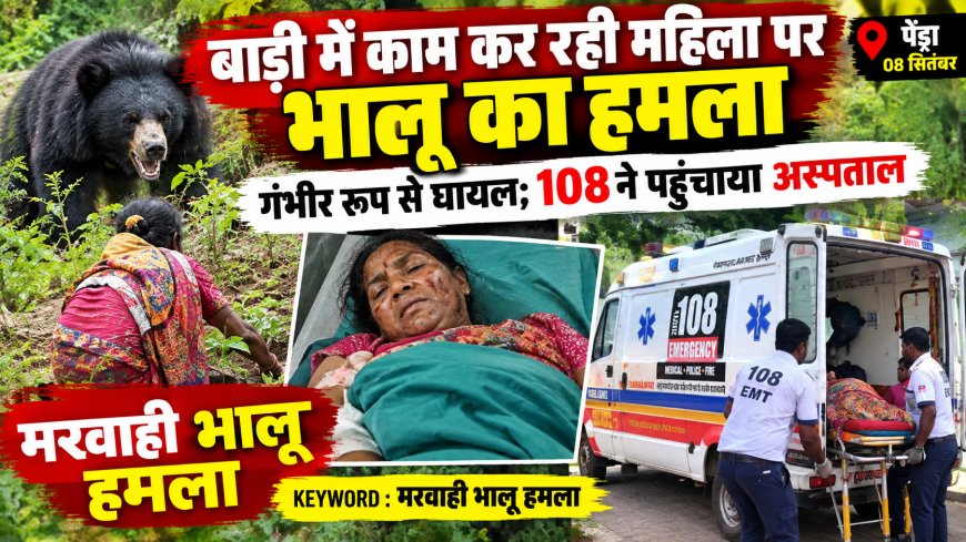 बाड़ी में काम कर रही महिला पर भालू का हमला, गंभीर रूप से घायल; 108 ने पहुंचाया अस्पताल