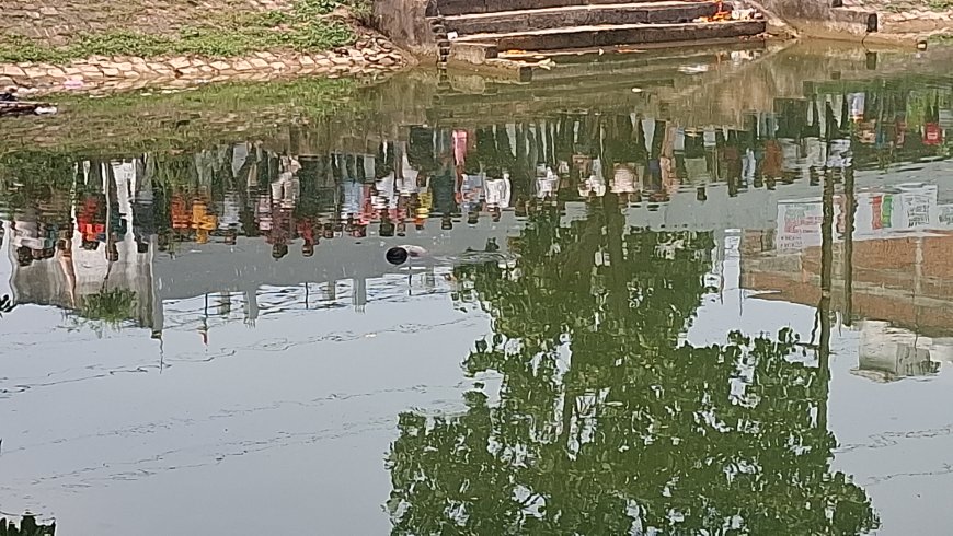 मंगला वार्ड 13 के पटवारी तालाब में मिली लाश,फैली सनसनी