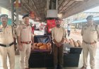 बिलासपुर रेलवे स्टेशन पर 15 किलो गांजा के साथ युवक गिरफ्तार, 7.50 लाख का मादक पदार्थ जब्त प्लेटफॉर्म नंबर 7-8 पर रेलवे पुलिस की कार्रवाई, पुलिस को देखकर भागने लगा आरोपी; घेराबंदी कर पकड़ा