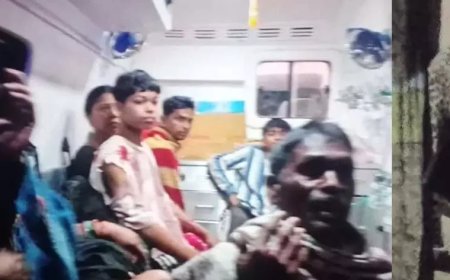 महासमुंद में आधी रात घर में घुसा तेंदुआ: एक ही परिवार के 6 लोगों पर हमला कर किया लहुलूहान, सूझबूझ से कमरे में किया बंद;