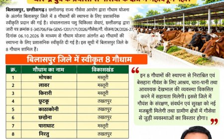बिलासपुर जिले में 8 नए गौधामों को प्रशासनिक स्वीकृति, गौवंश के संरक्षण एवं सुरक्षा को मिलेगी मजबूती