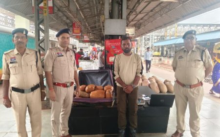बिलासपुर रेलवे स्टेशन पर 15 किलो गांजा के साथ युवक गिरफ्तार, 7.50 लाख का मादक पदार्थ जब्त प्लेटफॉर्म नंबर 7-8 पर रेलवे पुलिस की कार्रवाई, पुलिस को देखकर भागने लगा आरोपी; घेराबंदी कर पकड़ा