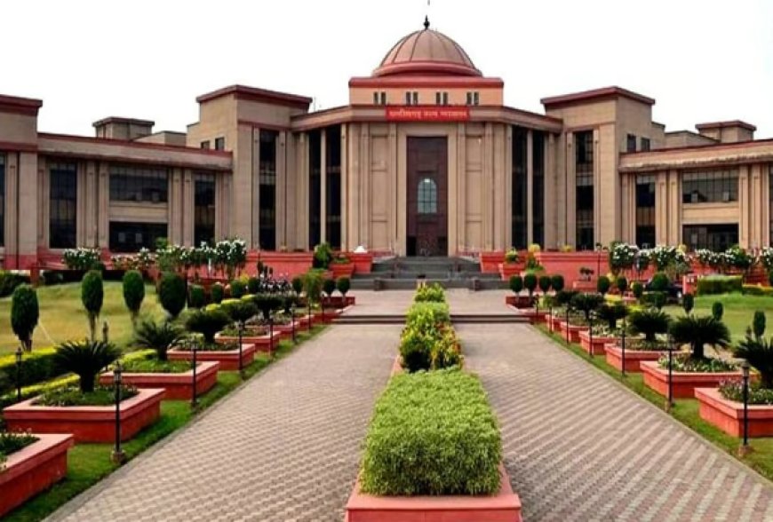 छत्तीसगढ़ हाईकोर्ट का बड़ा फैसला: धमतरी की 31 हफ्ते की गर्भवती रेप पीड़िता को दी अबॉर्शन की अनुमति,