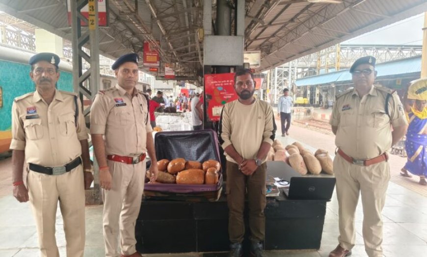 बिलासपुर रेलवे स्टेशन पर 15 किलो गांजा के साथ युवक गिरफ्तार, 7.50 लाख का मादक पदार्थ जब्त प्लेटफॉर्म नंबर 7-8 पर रेलवे पुलिस की कार्रवाई, पुलिस को देखकर भागने लगा आरोपी; घेराबंदी कर पकड़ा