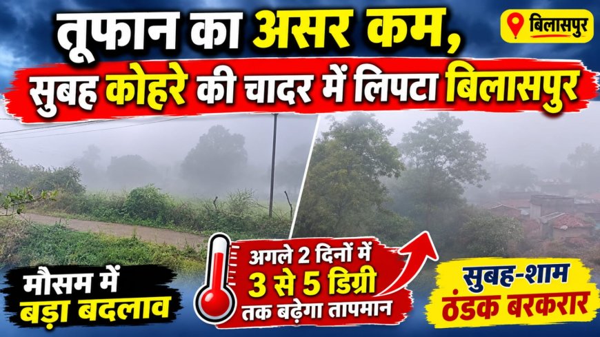 तूफान का असर कम, सुबह कोहरे की चादर में लिपटा बिलासपुर